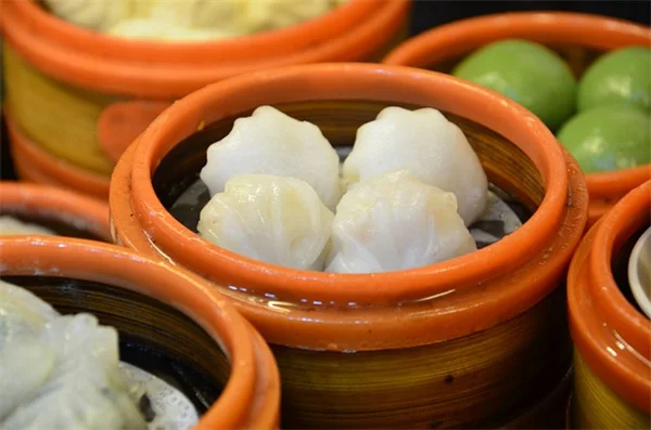 寒さに強い観葉植物8選：冬の窓辺で失敗しない育て方のコツ