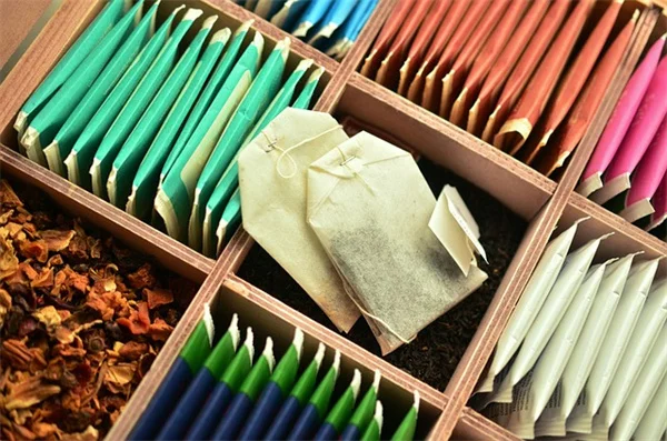 ゾーン別アジサイおすすめ品種一覧｜失敗しない選び方と育て方のコツ