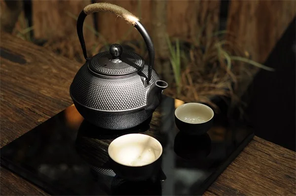 鉢植えで育てやすい小さな低木5選｜私が試したコンテナ栽培のコツ